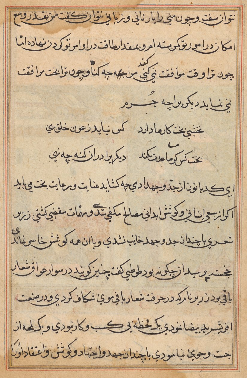 Tuti-nama (Contes d