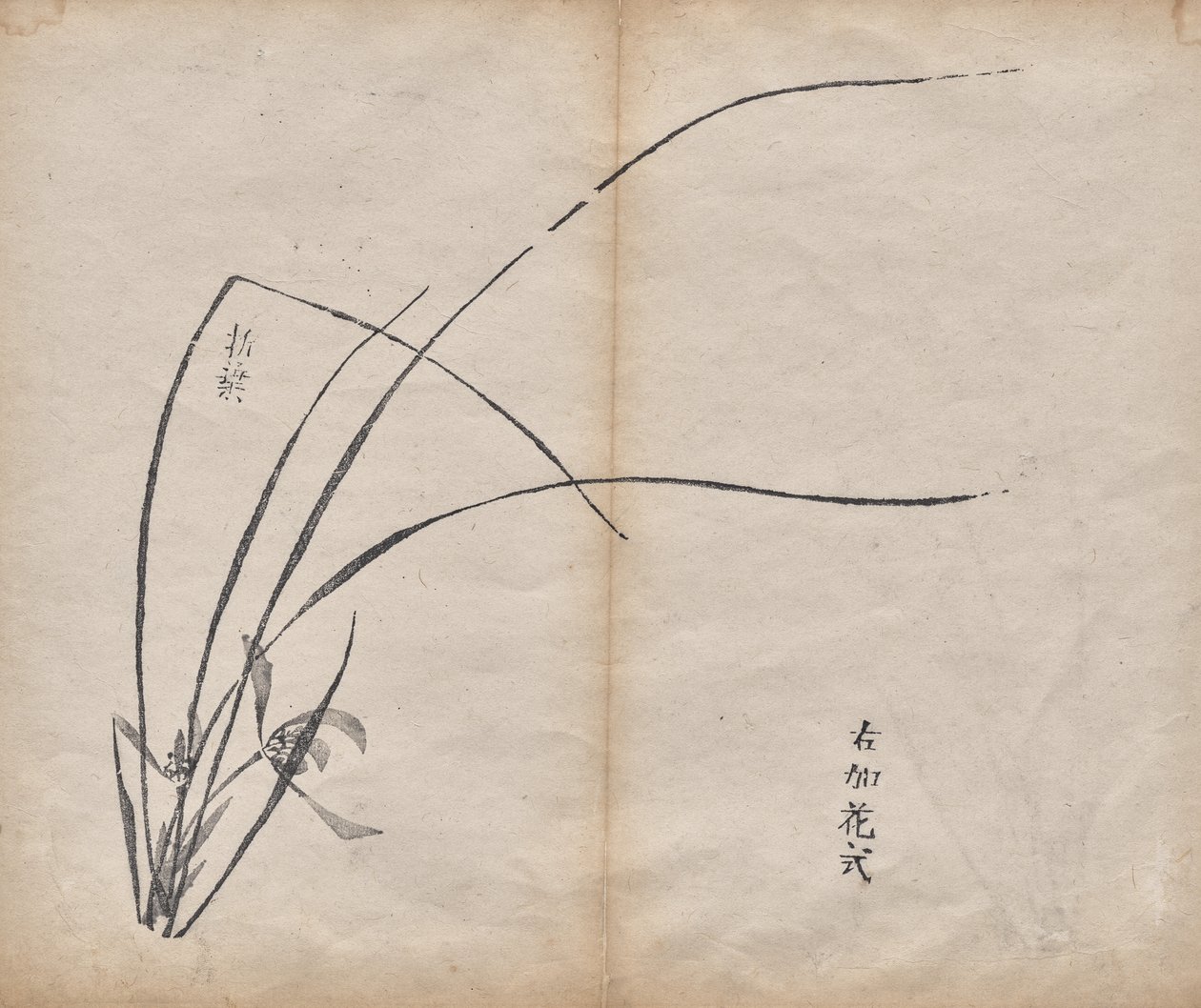 Sans titre - Unknown artist