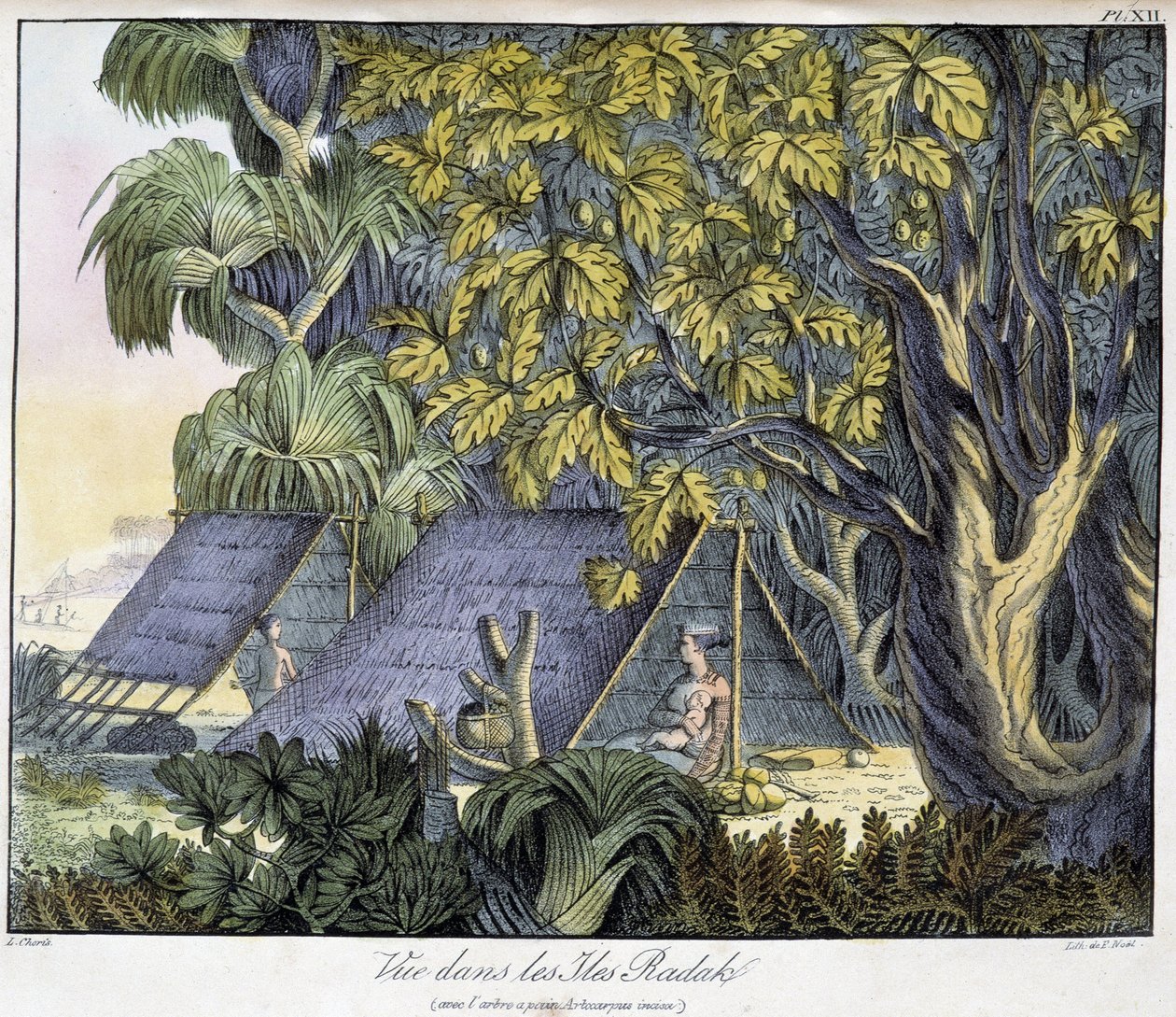 Vue des îles Radack - Unknown artist