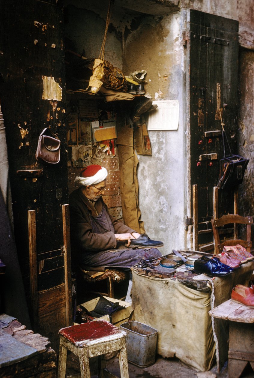 Un cordonnier, Alger - Unknown photographer