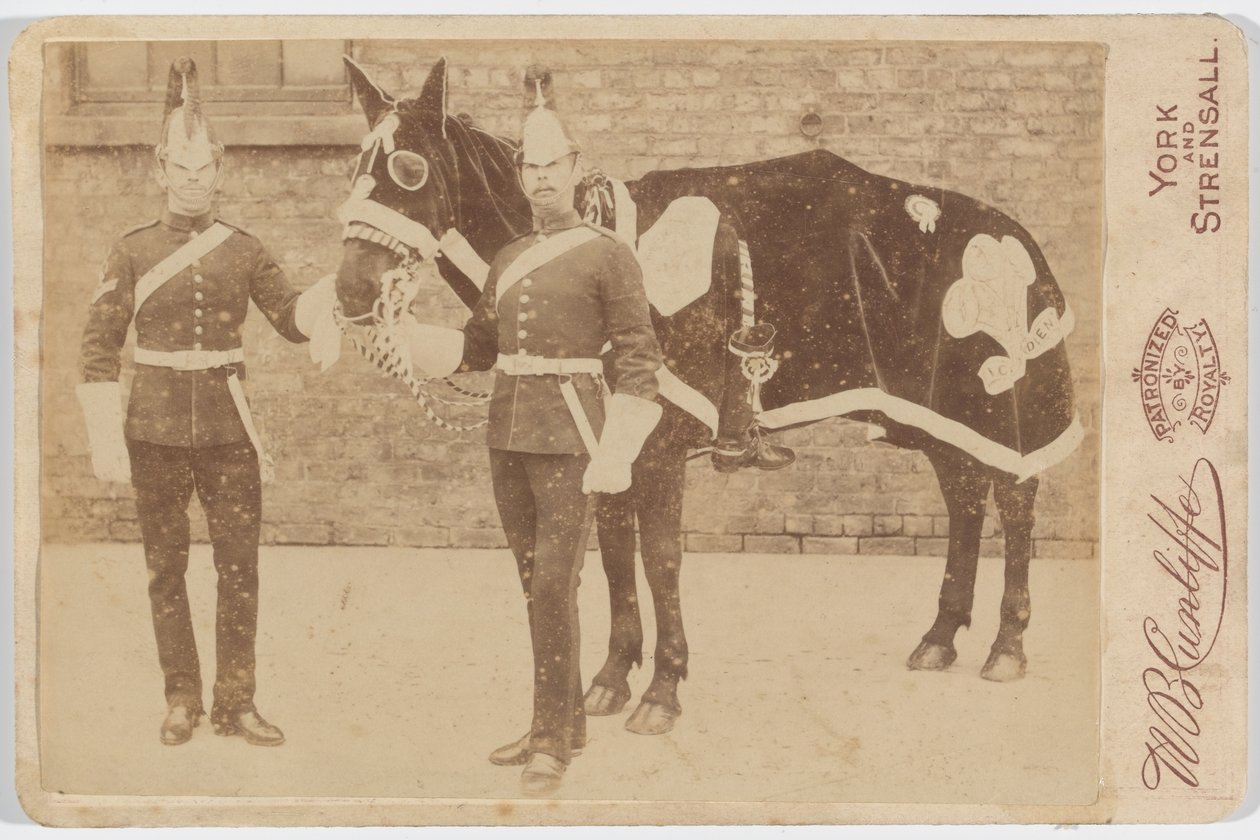 Un cheval du 3e - Unknown photographer
