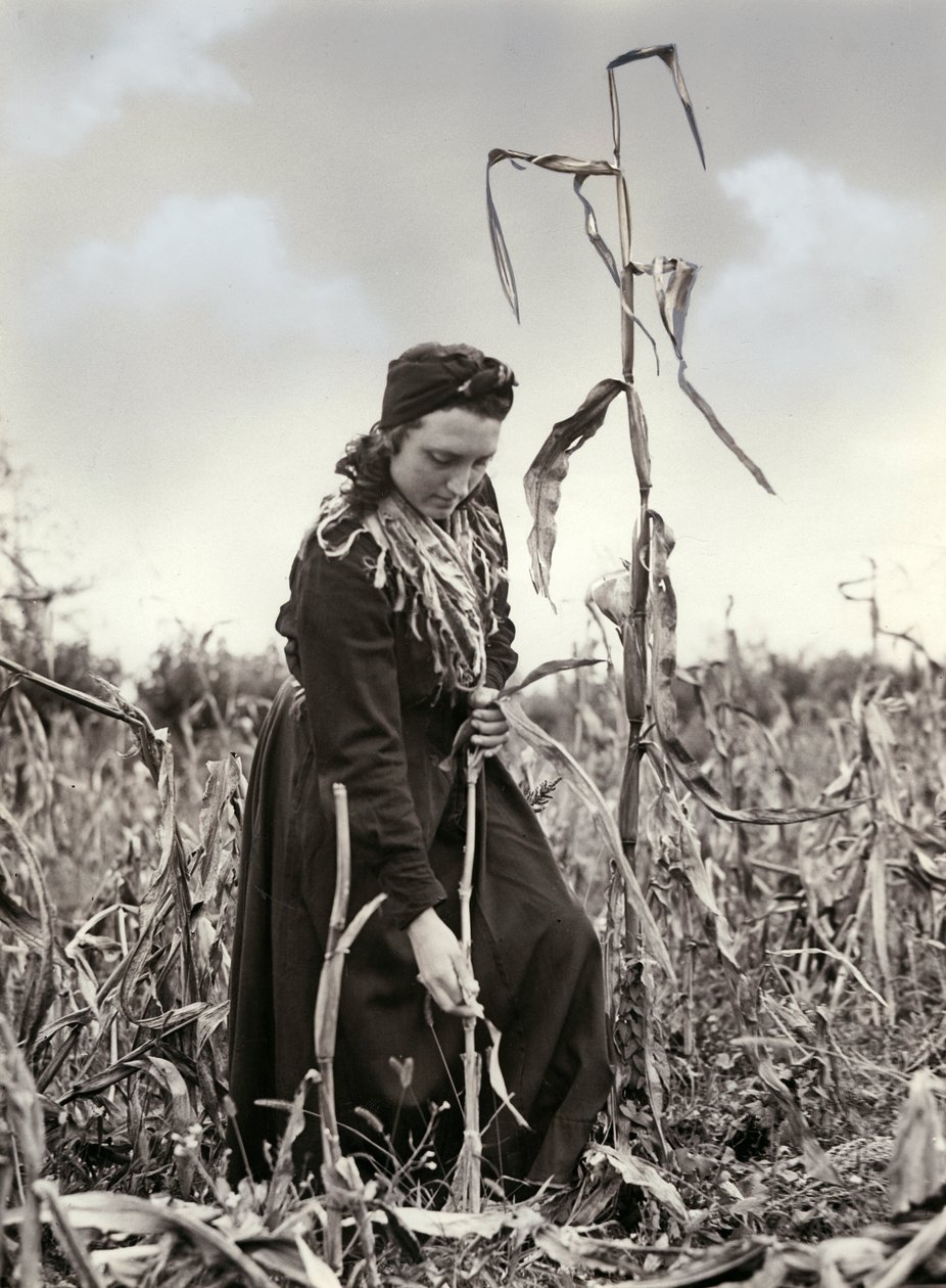 Extrudé frioulan - Unknown photographer