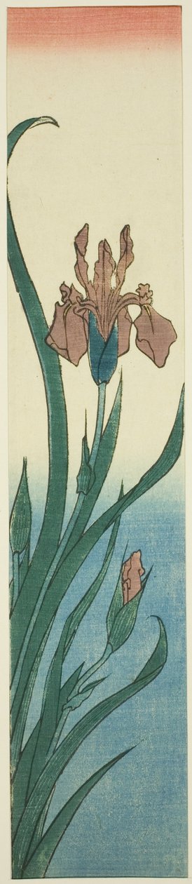 Iris - Utagawa Hiroshige