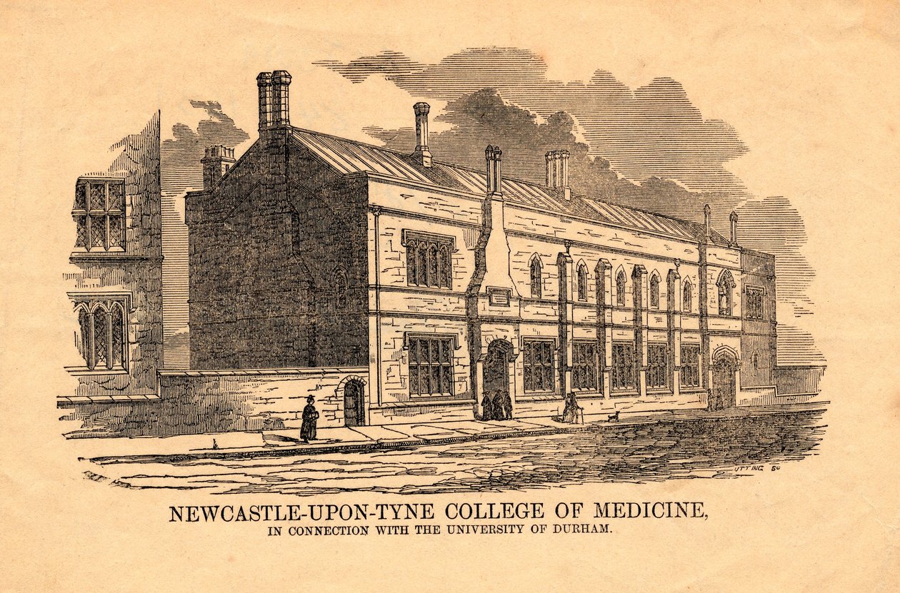 Collège de médecine, Newcastle upon Tyne - Utting