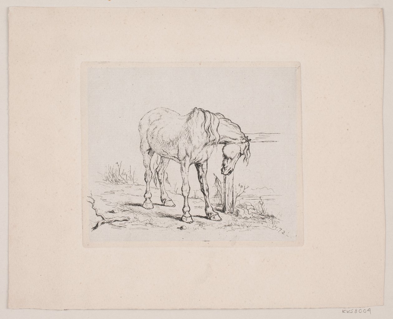 Un vieux cheval - Valdemar Irminger