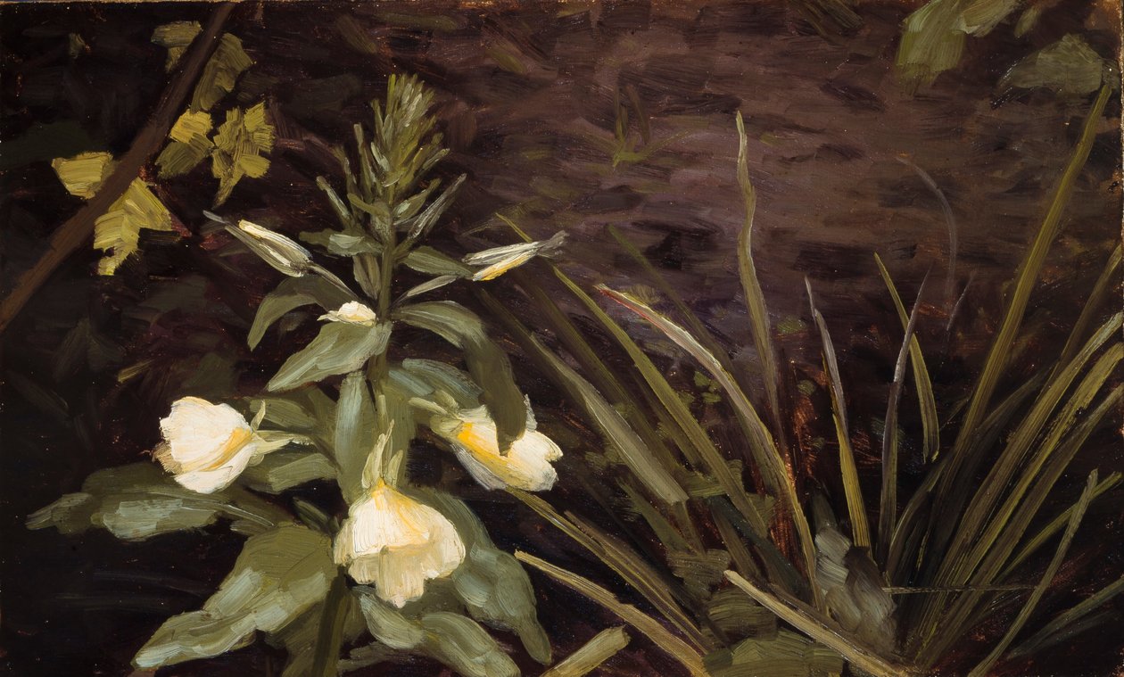 Onagre en fleurs - Valdemar Schønheyder Møller