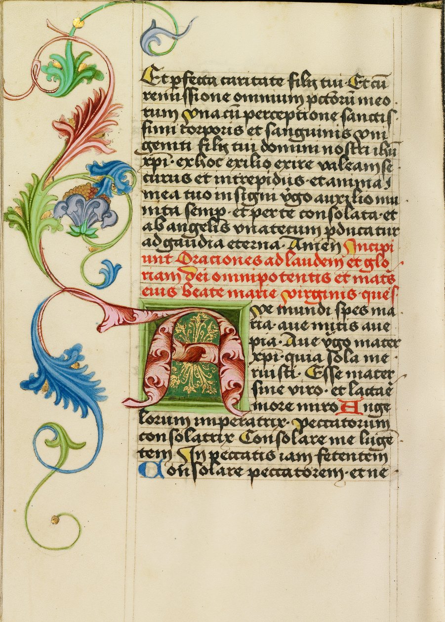 Initiale A décorée - Valentine Noh