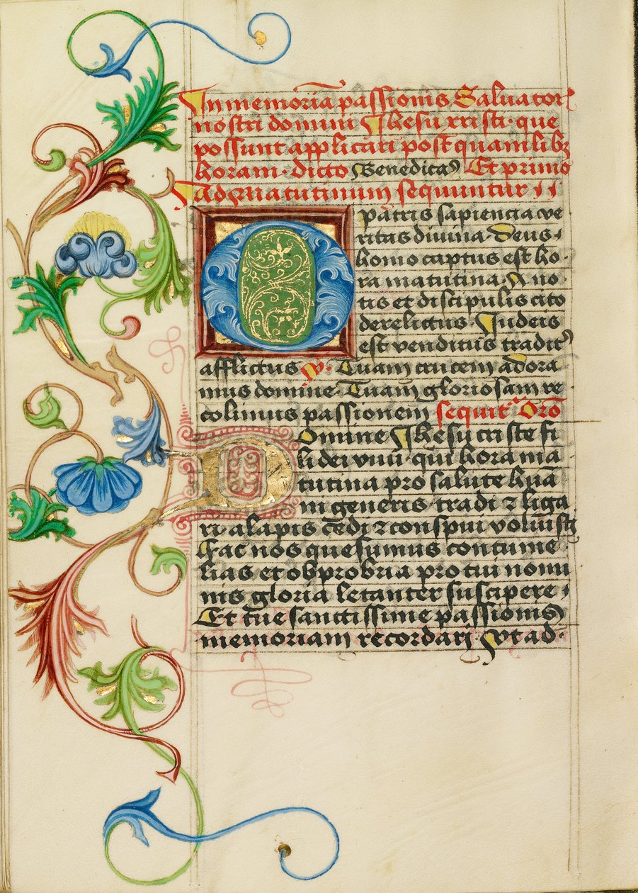 Initiale O décorée - Valentine Noh