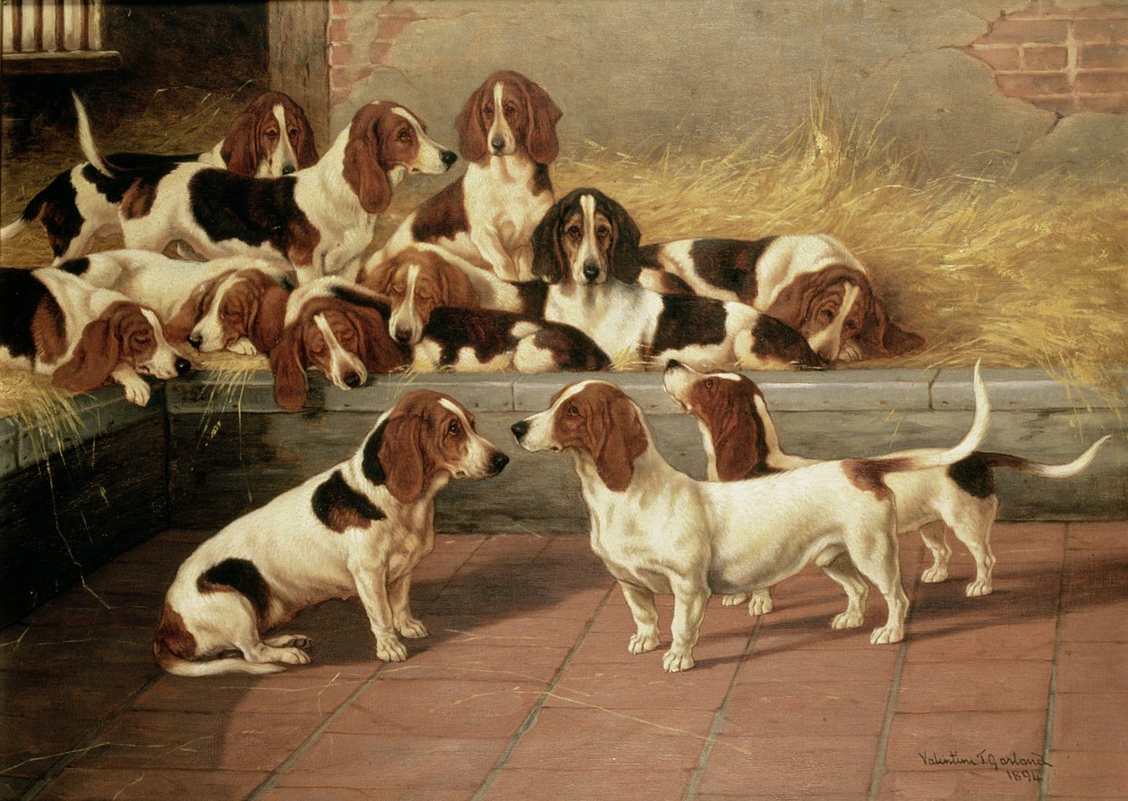 Bassets dans un chenil, 1894 - Valentine Thomas Garland