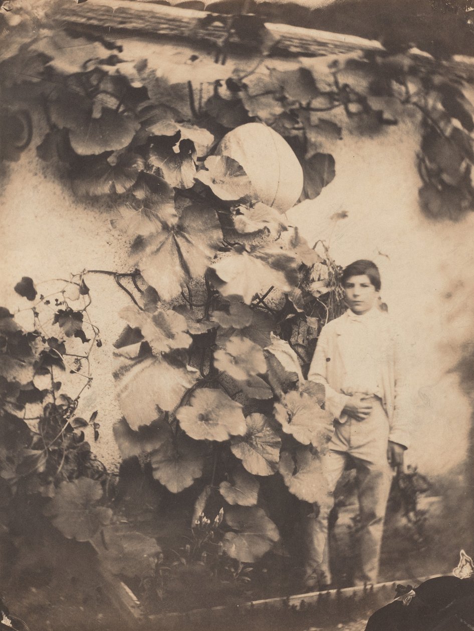 Garçon avec une vigne de citrouille - Varin Frères