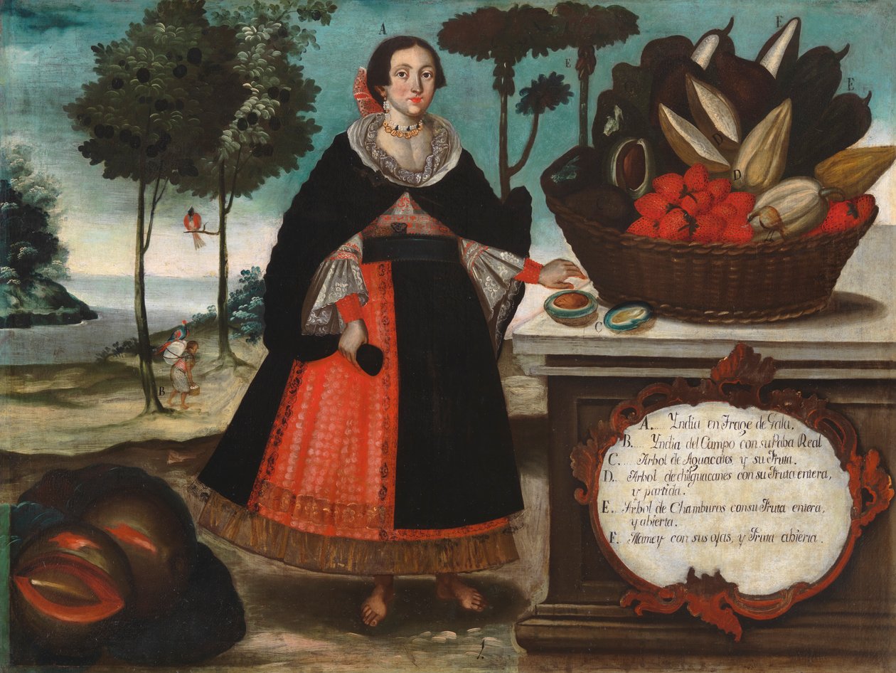 Femme Indienne en Tenue Spéciale - Vicente Alban