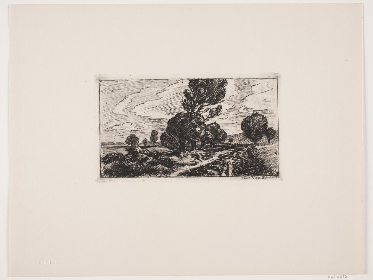 Chemin à travers le marais - Viggo Pedersen