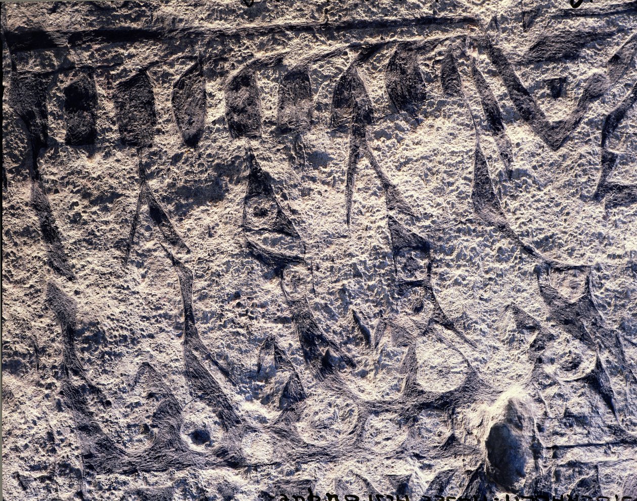 Détail d