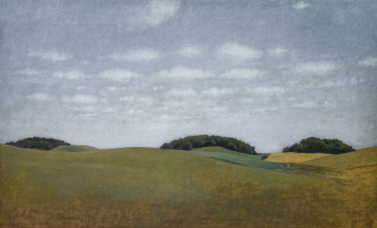 Paysage à Lejre - Vilhelm Hammershoi