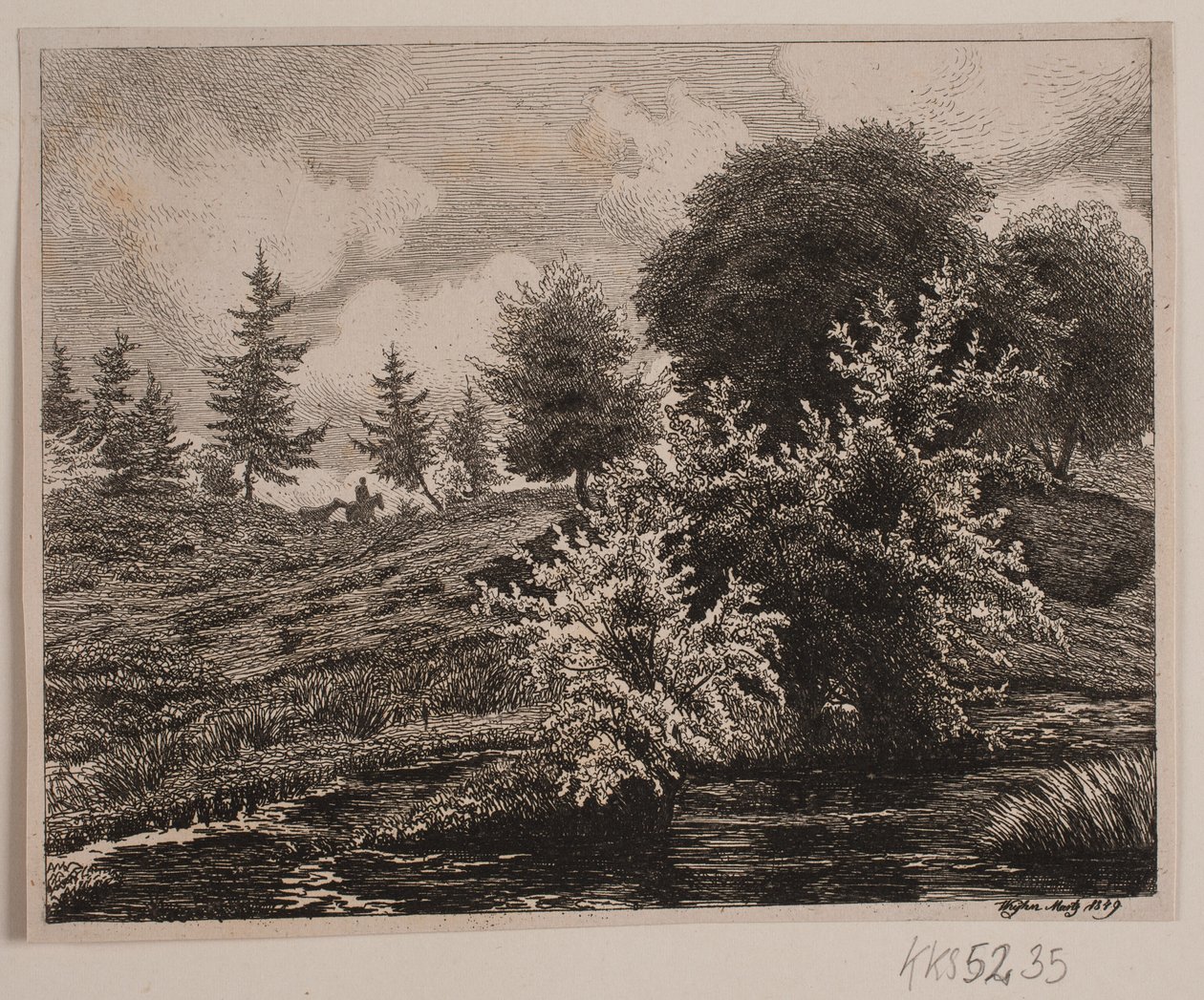 Collines près d