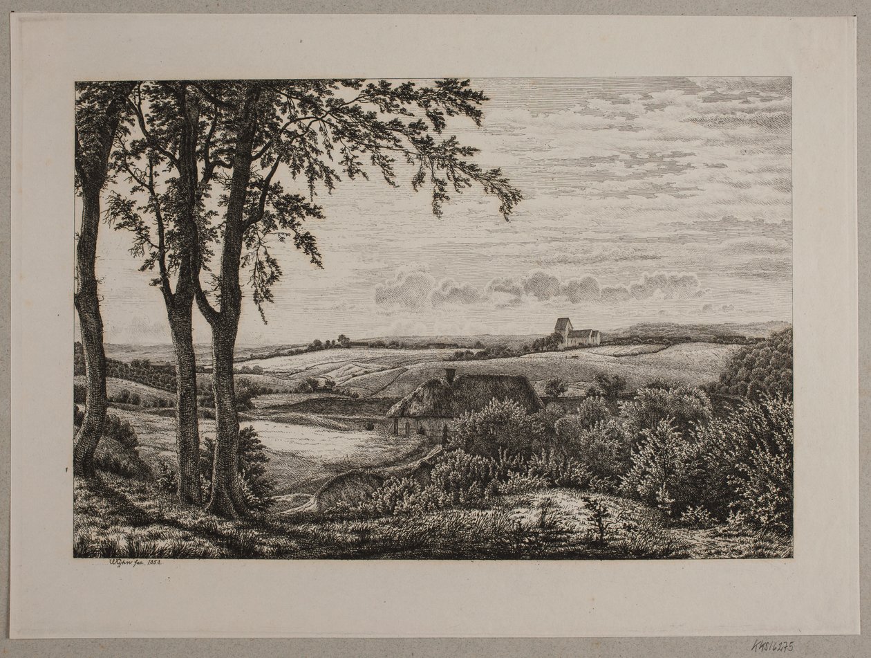 Paysage d