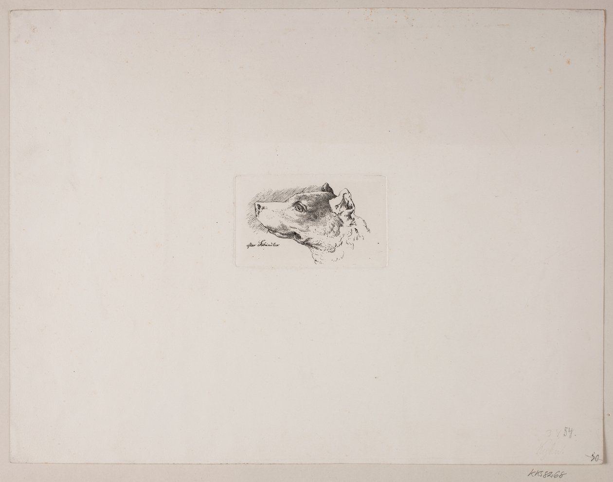 Tête de chien - Vilhelm Kyhn