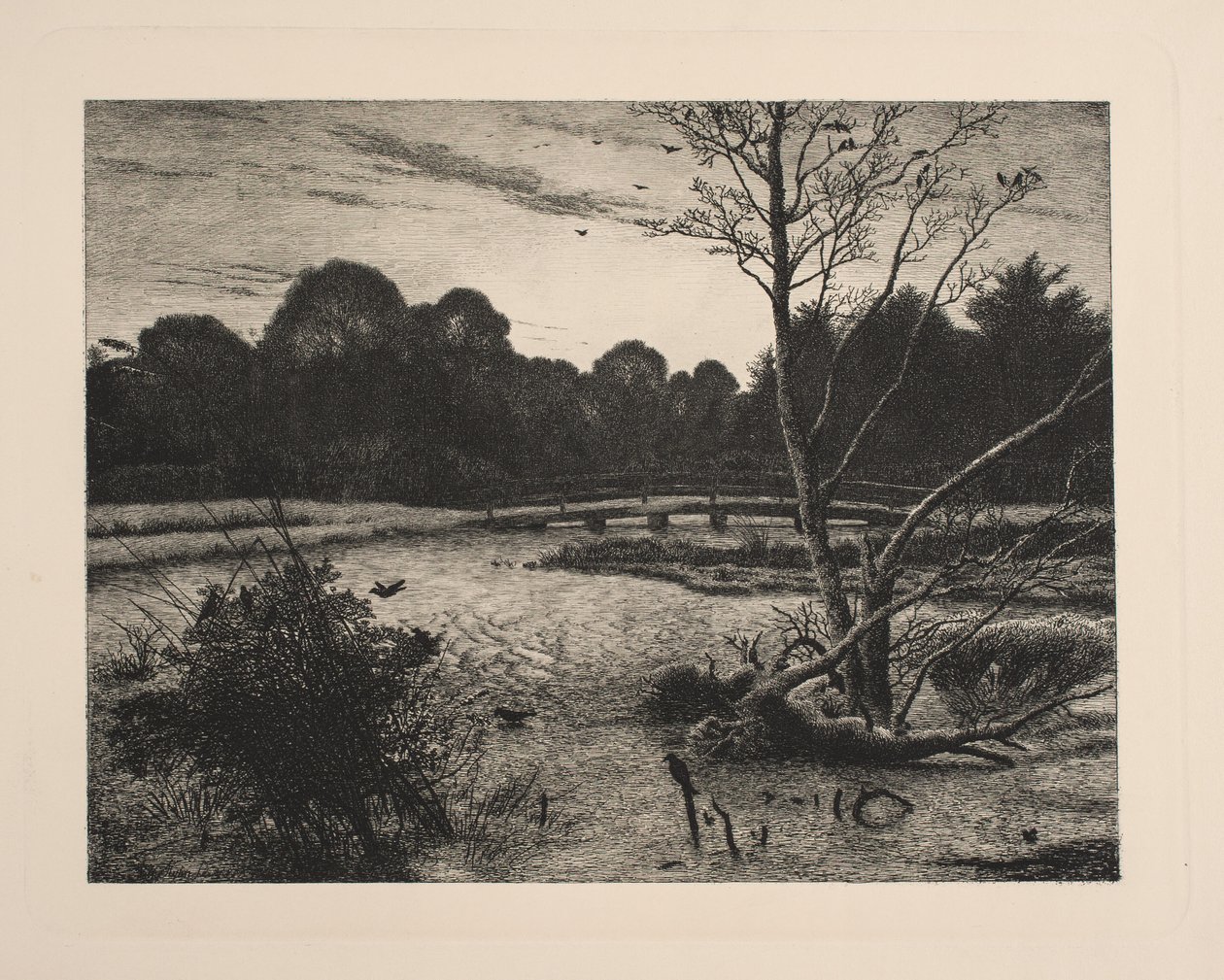 Coucher de soleil dans une forêt - Vilhelm Kyhn
