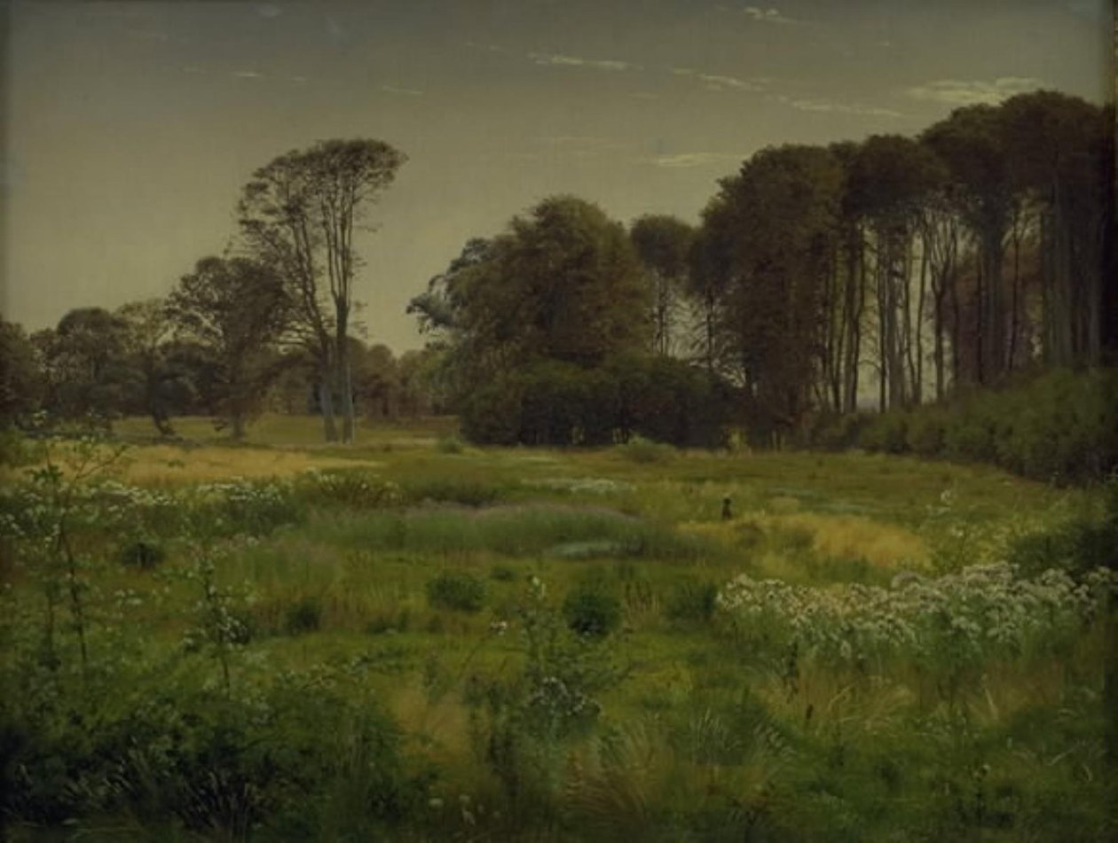 Paysage d
