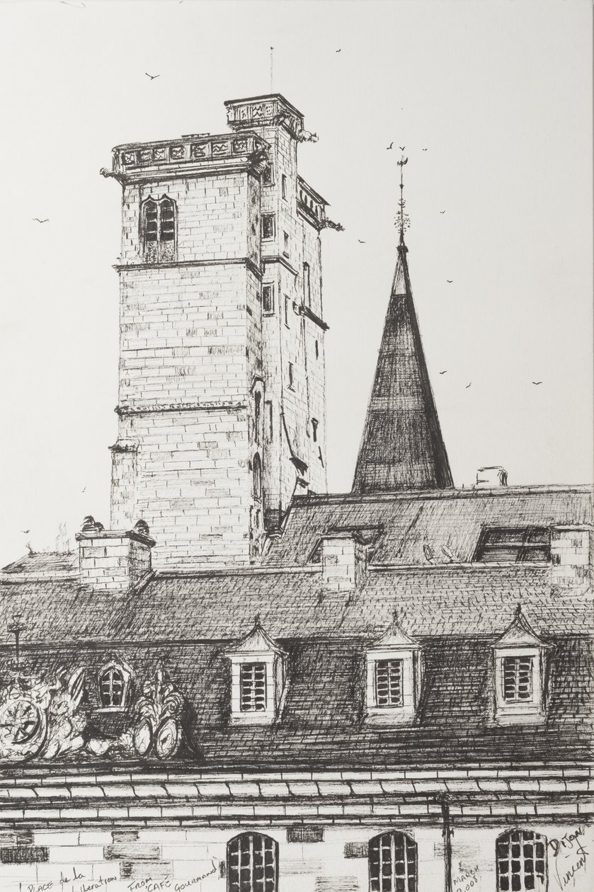 Toits de Dijon, France, 2008 - Vincent Alexander Booth