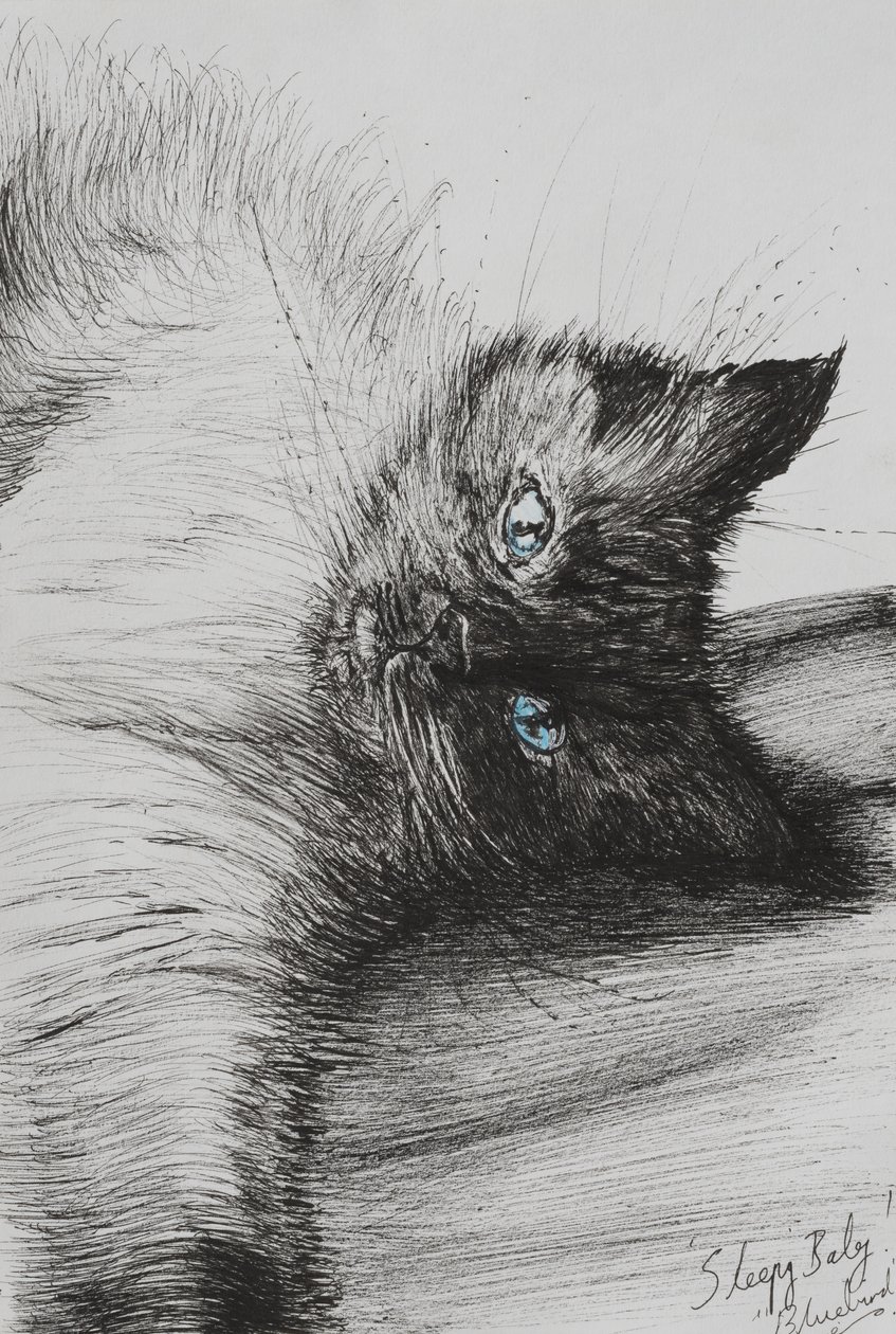 Atteindre, 2012 - Vincent Alexander Booth