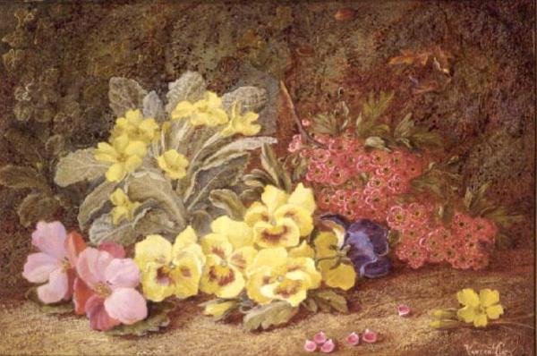 Roses et primevères - Vincent Clare
