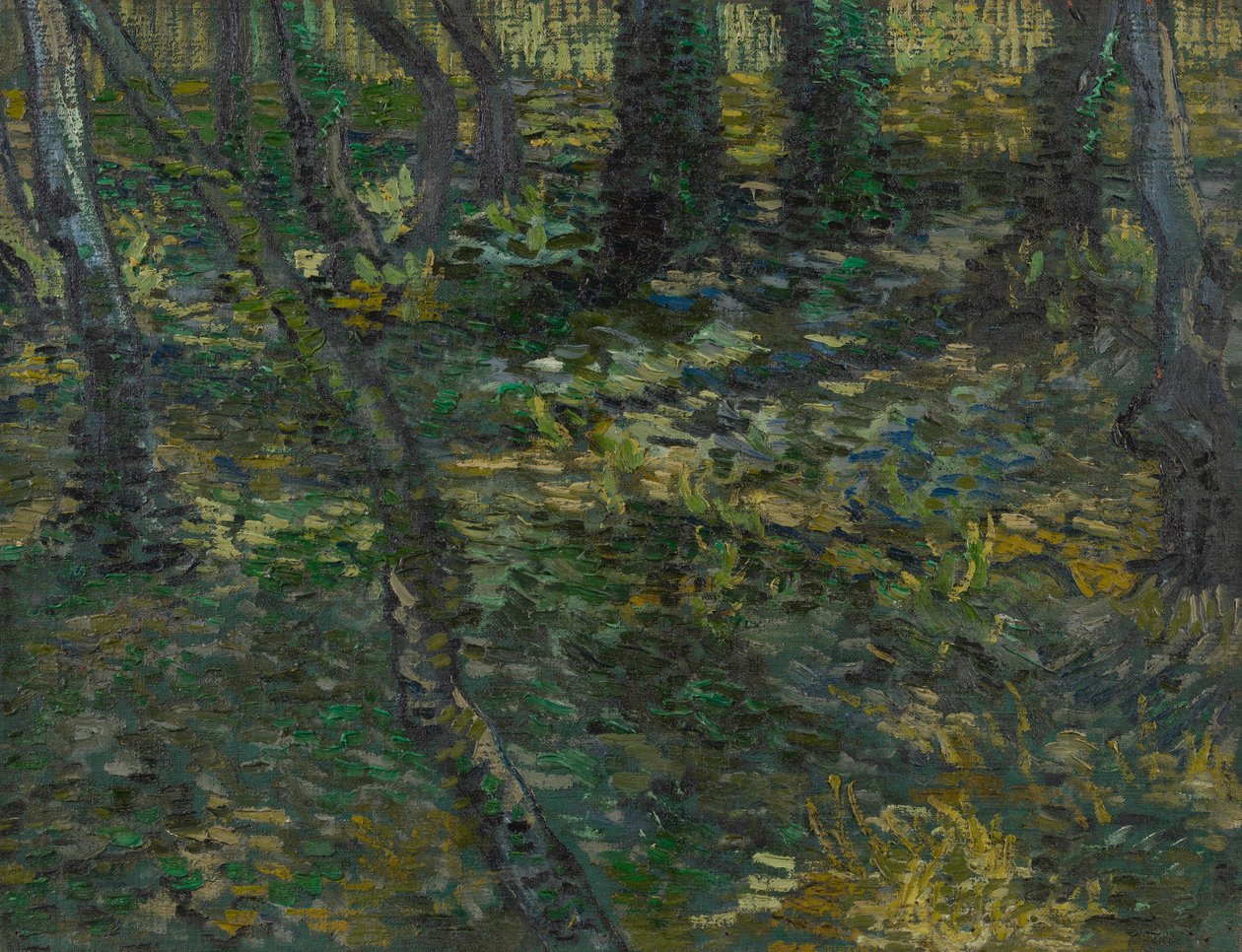 Sous-bois - Vincent van Gogh