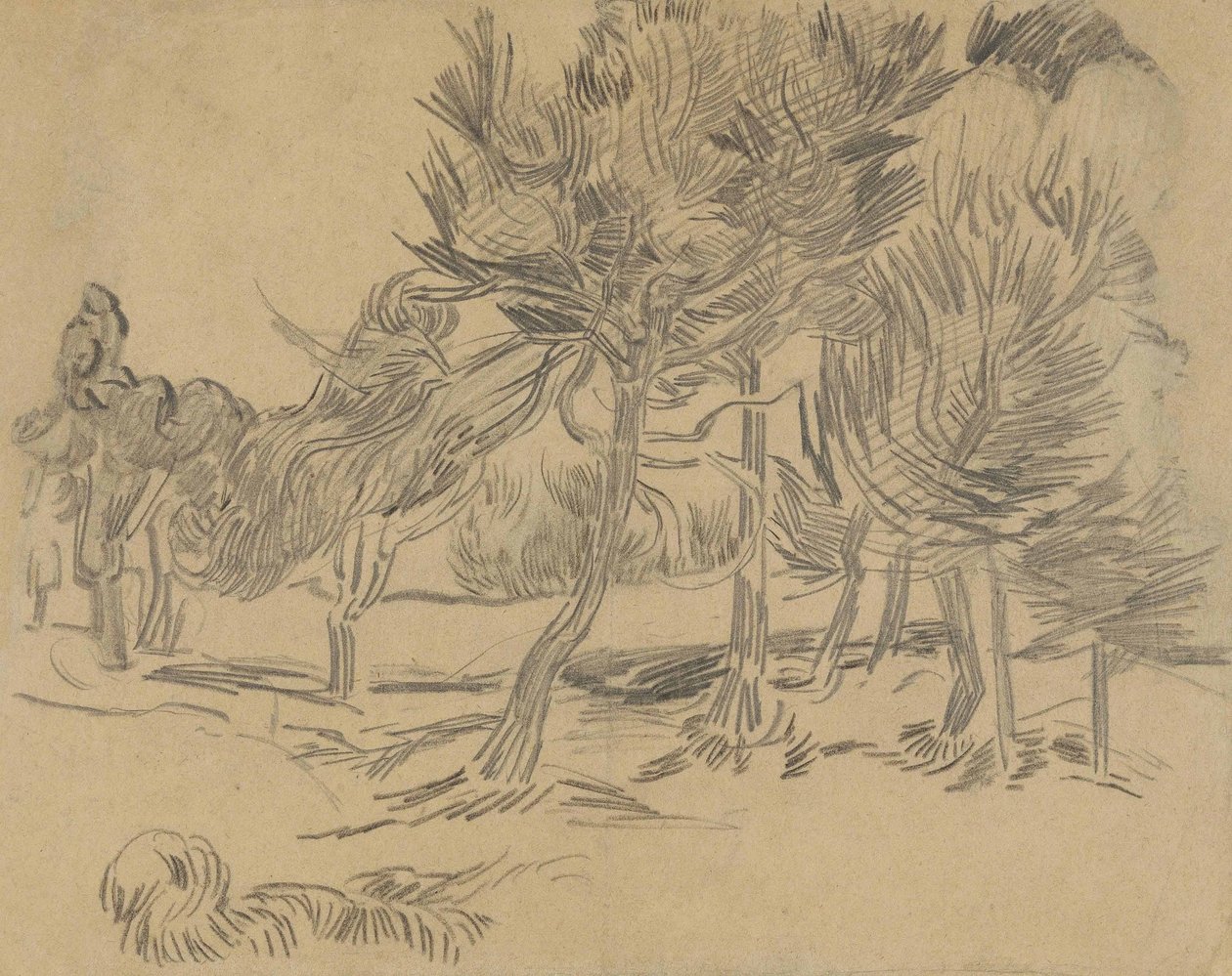 Un groupe de pins - Vincent van Gogh