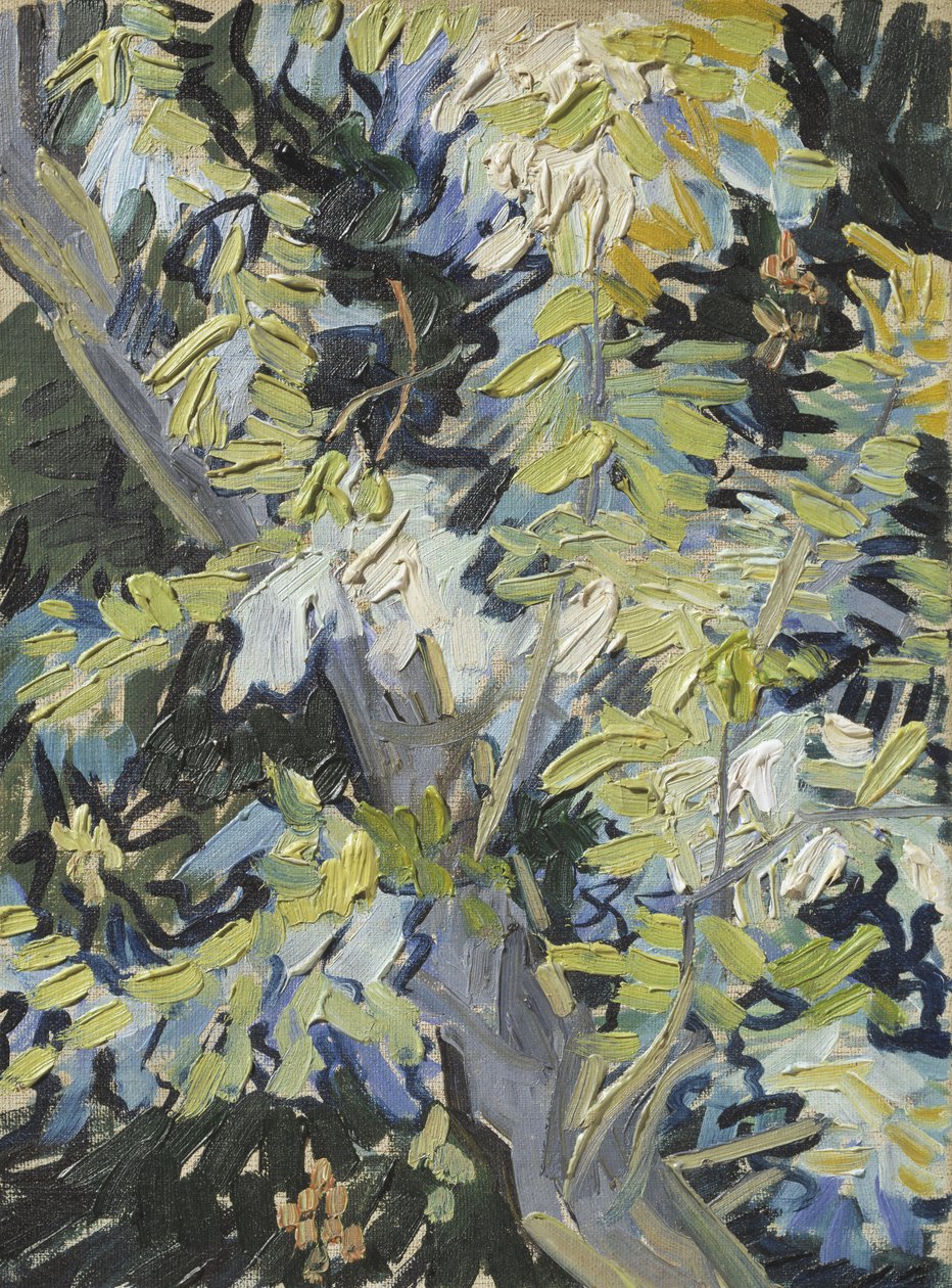 Acacia en fleur, c.1889 - Vincent van Gogh