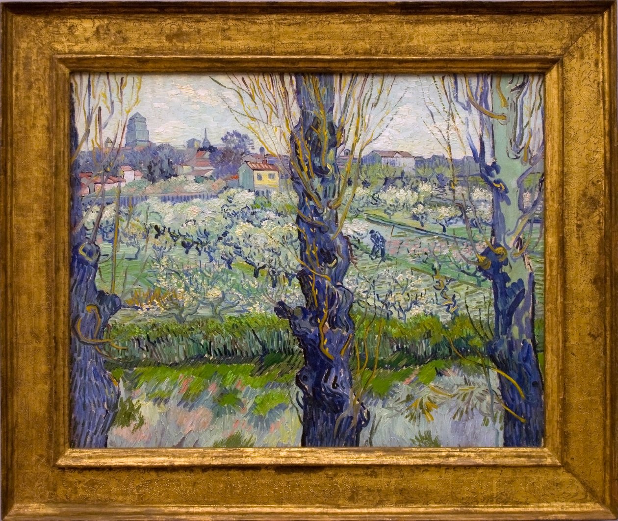 Vue d