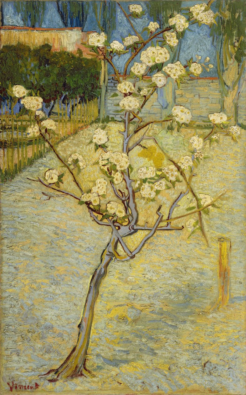 Poirier en fleurs - Vincent van Gogh