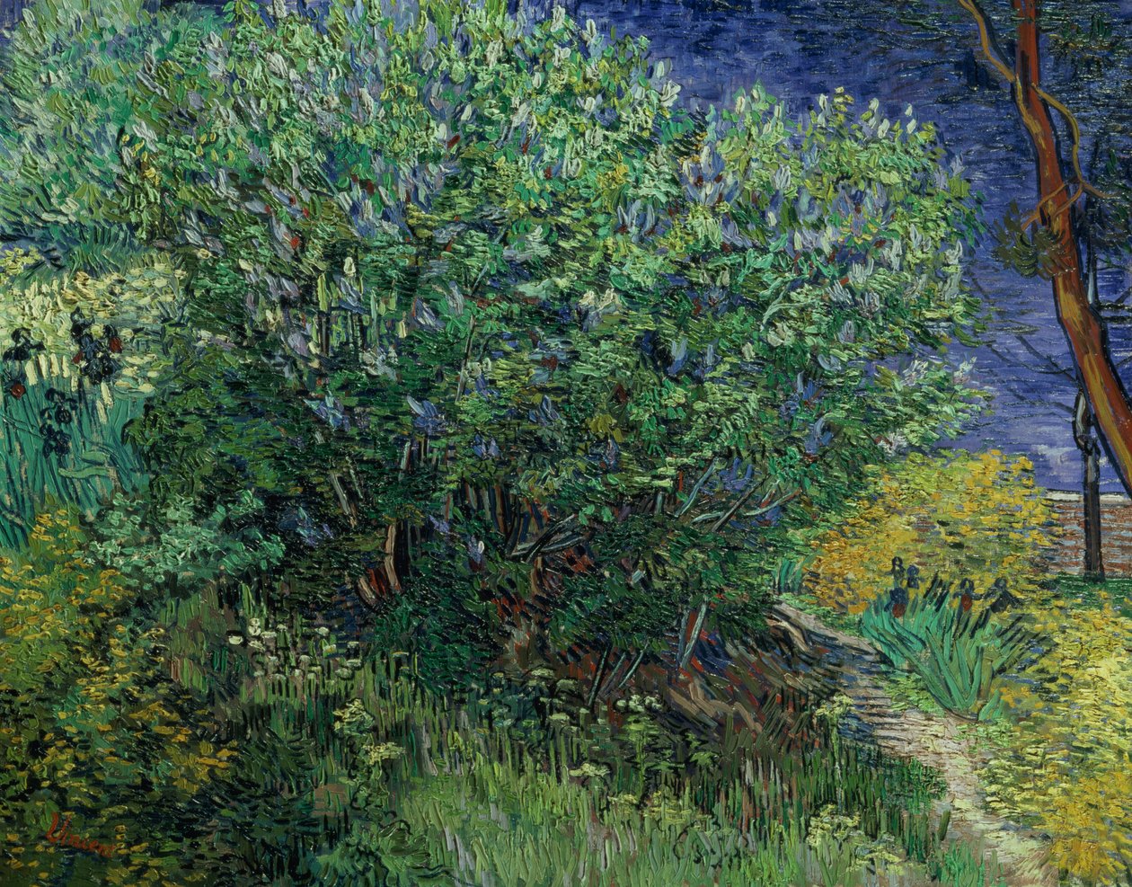 Buisson de lilas, 1889 - Vincent van Gogh