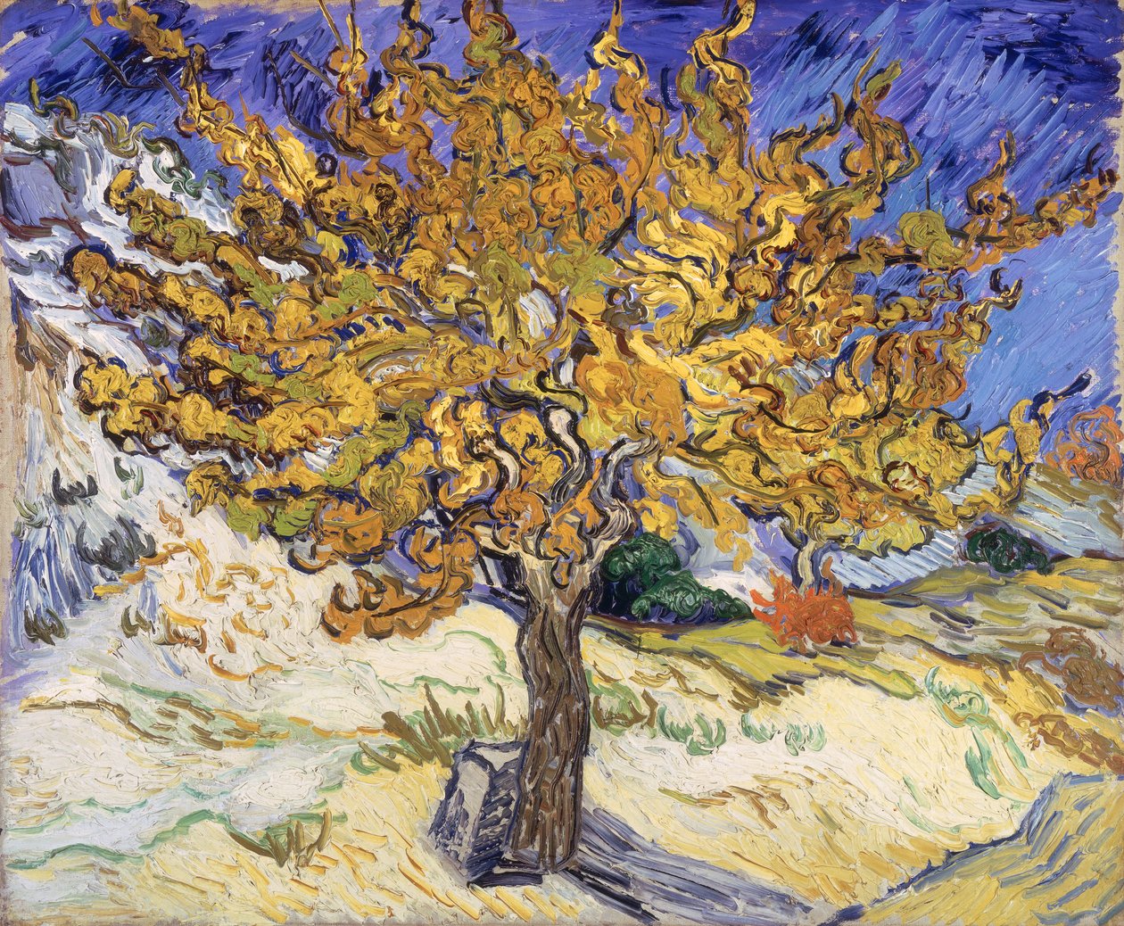 Mûrier, 1889 - Vincent van Gogh
