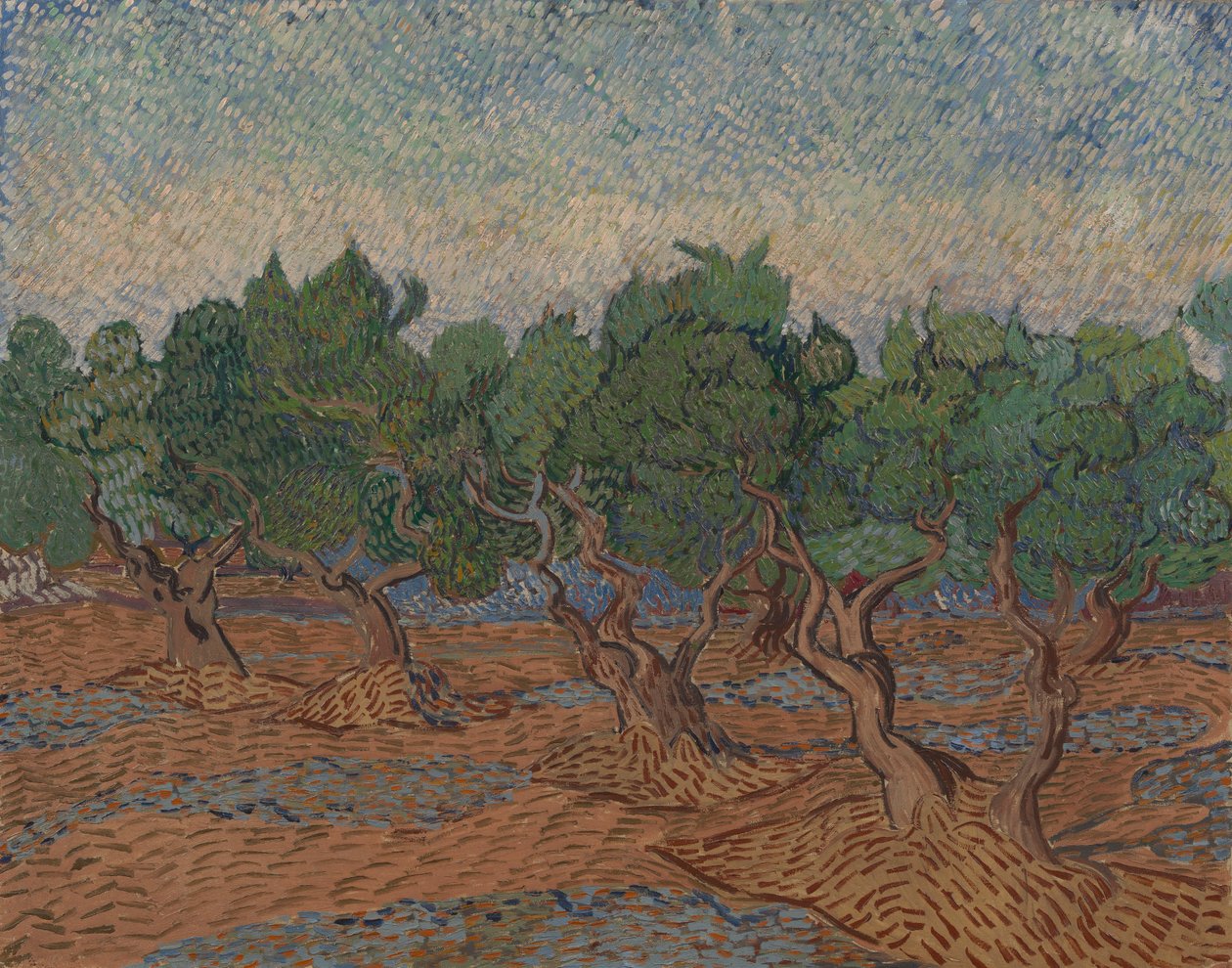 Oliveraie - Vincent van Gogh