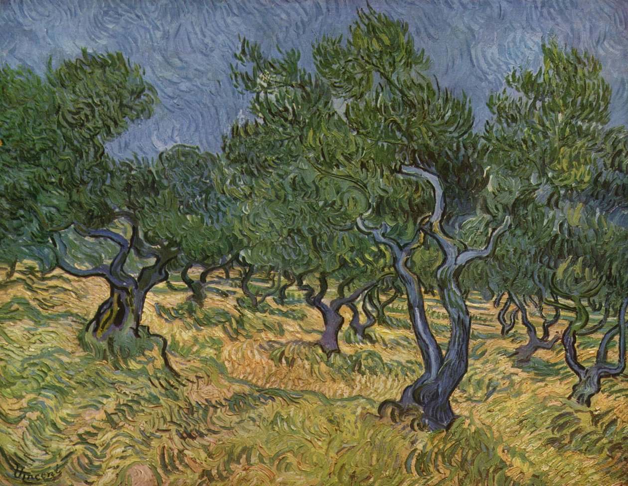 Oliveraie - Vincent van Gogh