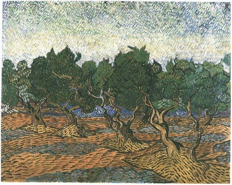 Oliveraie - Vincent van Gogh
