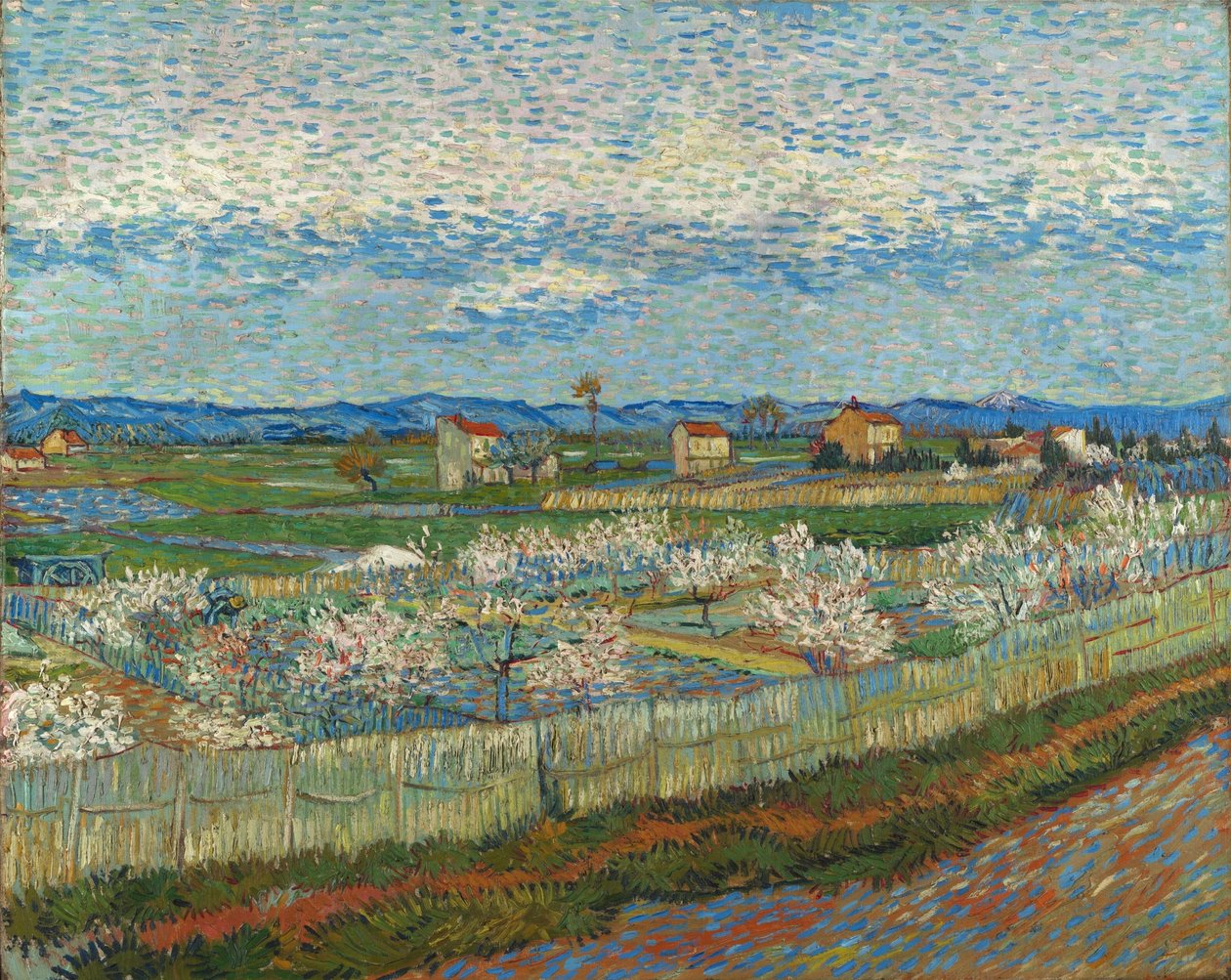 Pêchers en fleurs - Vincent van Gogh