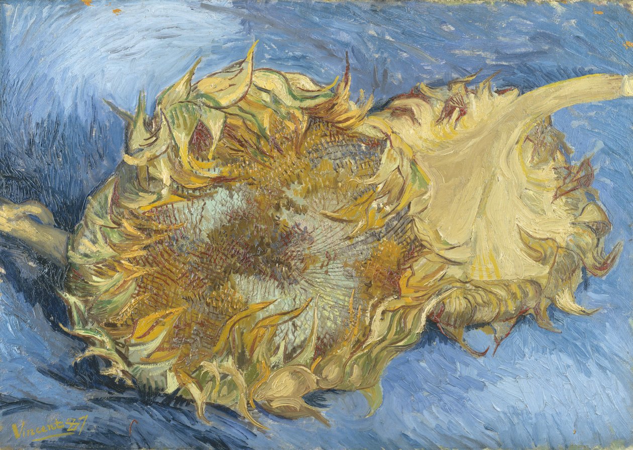 Tournesols - Vincent van Gogh
