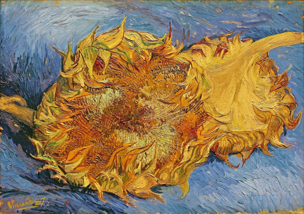 Deux tournesols coupés - Vincent van Gogh