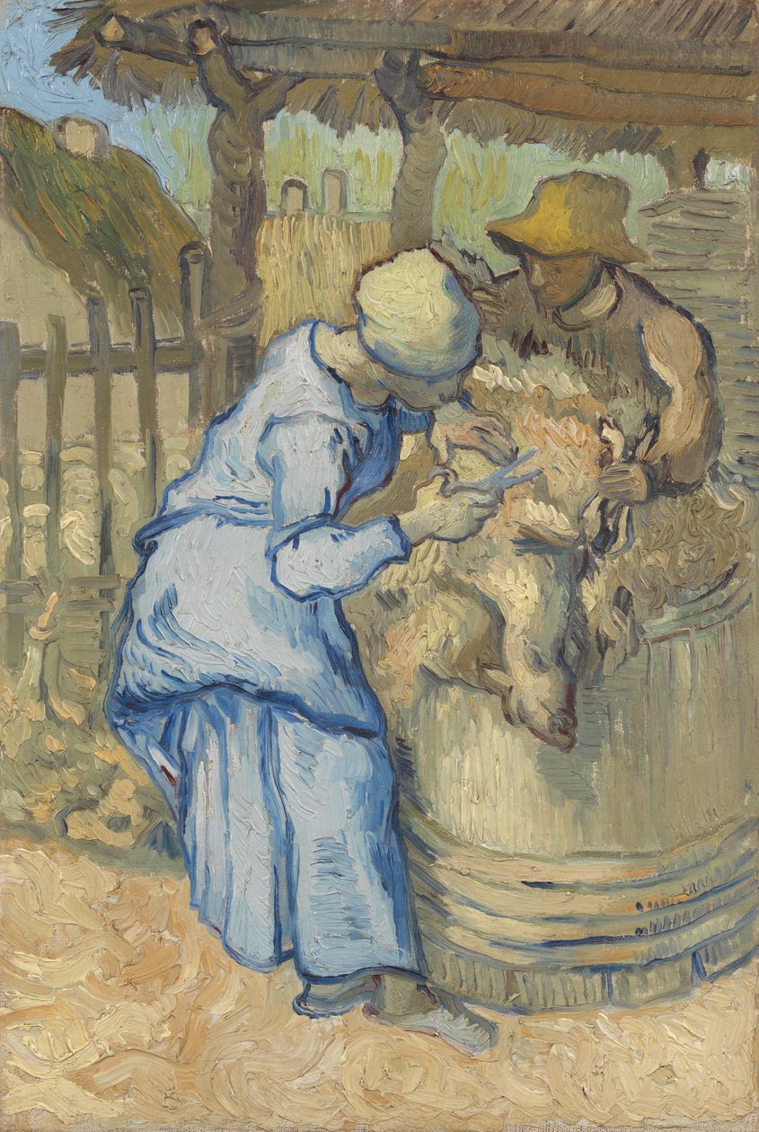 Le Tondeur de moutons (d