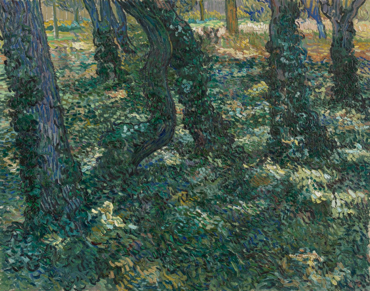 Sous-bois - Vincent van Gogh