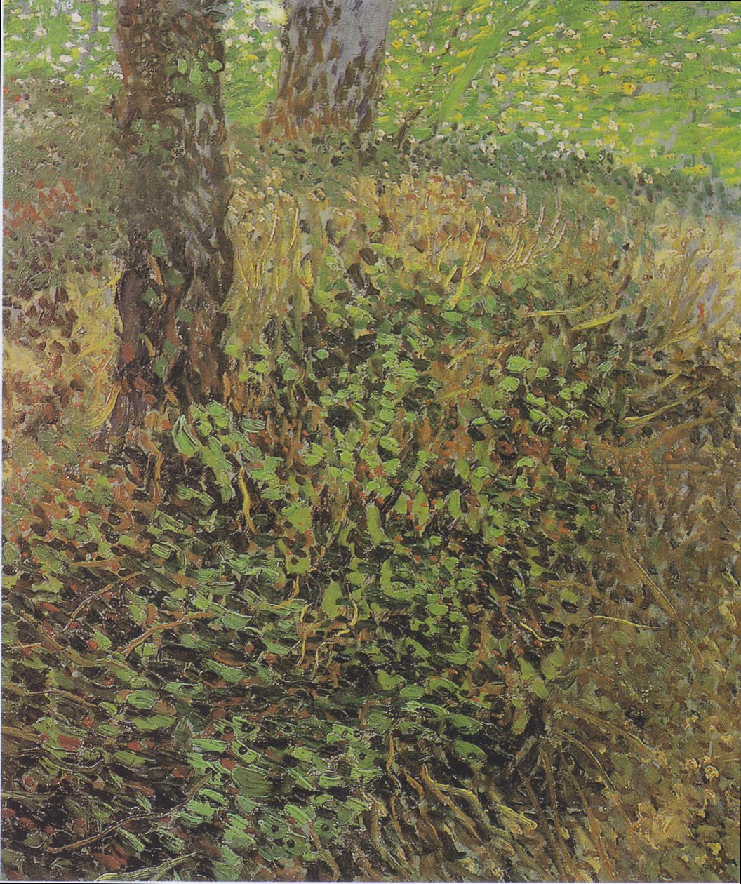 Sous-bois - Vincent van Gogh