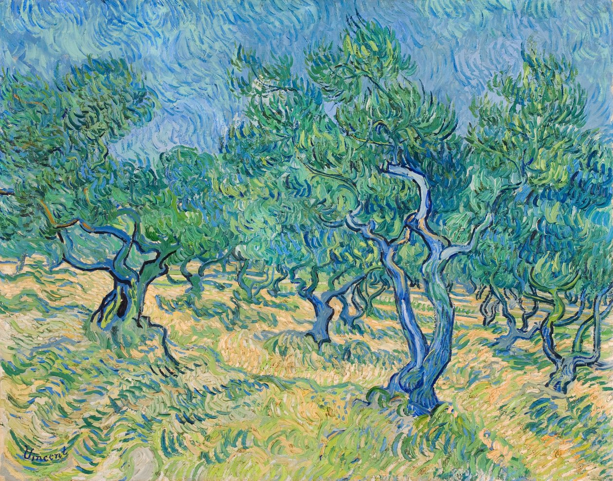 Oliveraie, 1889 - Vincent van Gogh