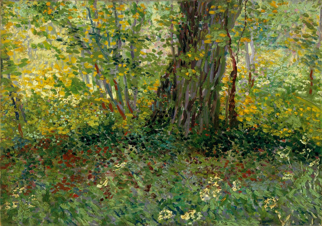 Sous-bois, 1887 - Vincent van Gogh
