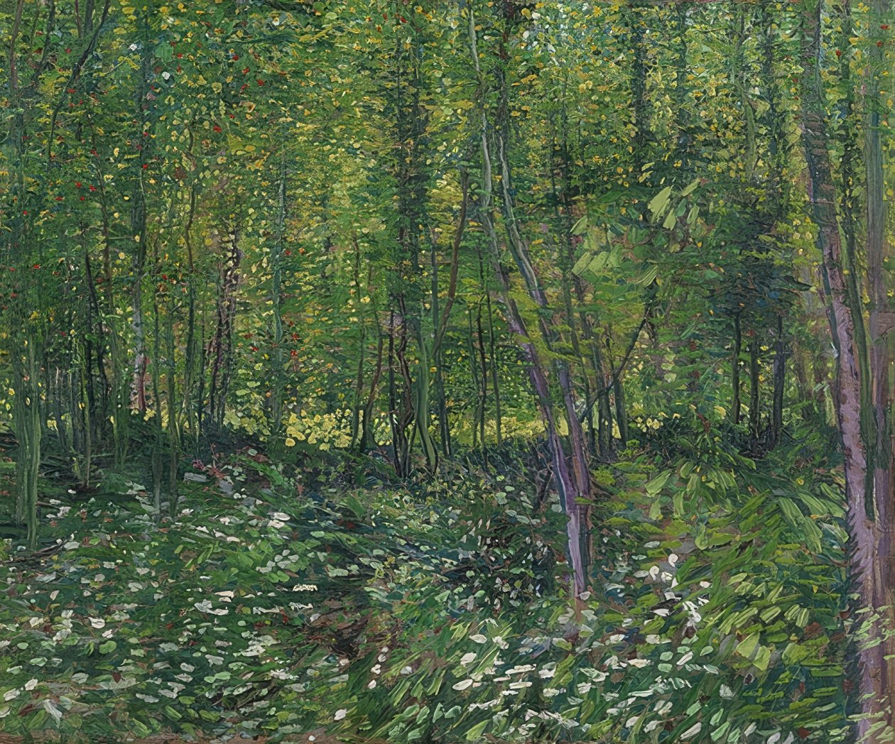 Arbres et sous-bois. 1887 - Vincent van Gogh