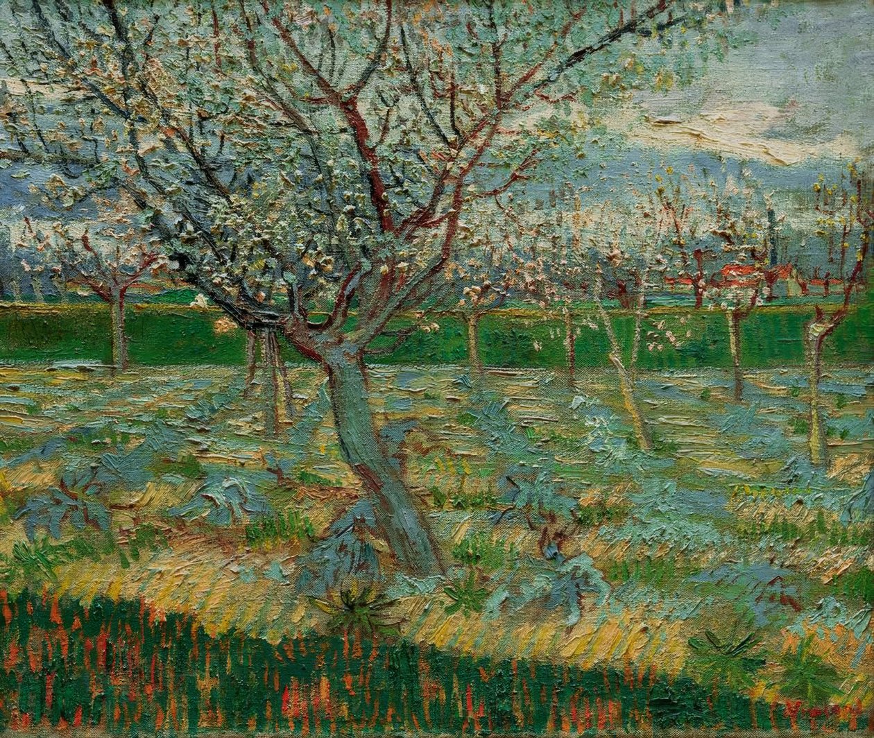 Verger en fleurs avec des abricotiers - Vincent van Gogh