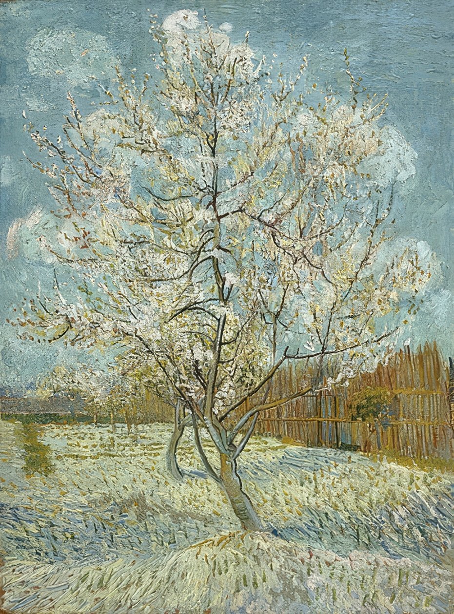 Pêcher en fleurs (rose) - Vincent van Gogh