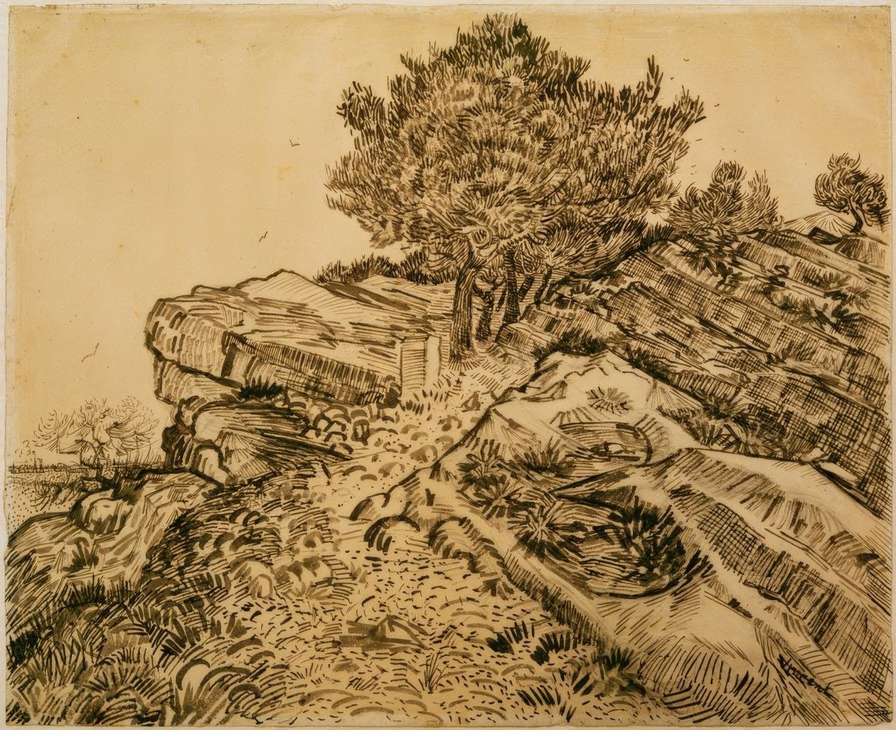 Le Rocher de Montmajour avec des pins - Vincent van Gogh