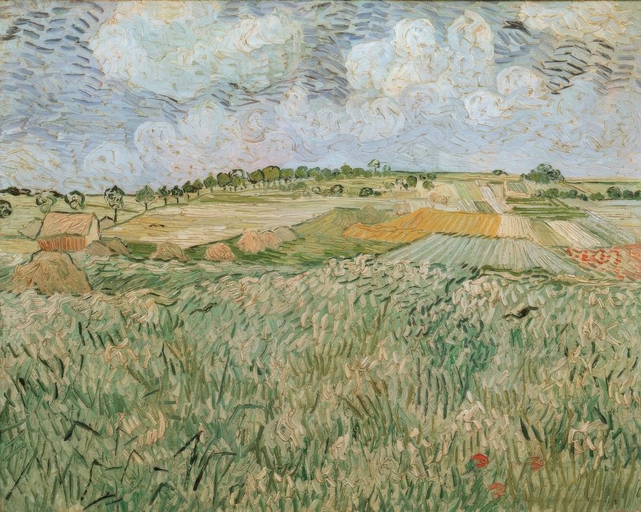 La plaine d