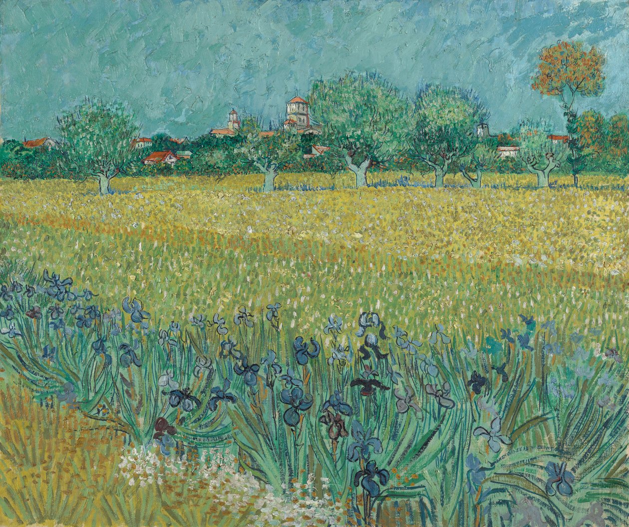 Champ de fleurs près d